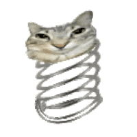 猫meme 猫猫 抽象 搞怪