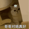 萌宠 猫咪 哥哥对她真好 呆萌 可爱