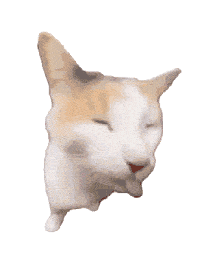 猫咪 可爱 沙雕 搞怪