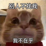 萌宠 猫咪 别人不找我我不在乎 呆萌 可爱