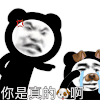 暴漫 熊猫头 真的狗 生气 搞怪 逗