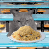 萌宠 猫咪 吃 呆萌 可爱