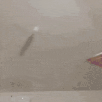 萌宠 猫咪 看你 呆萌 可爱