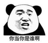 暴漫 熊猫头 你当你是谁啊 搞怪 逗 沙雕 暴漫 熊猫头 搞笑 逗 沙雕