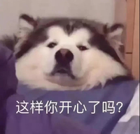 萌宠 汪星人 这样你开心了吗 好奇 呆萌 可爱