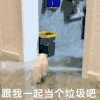 萌宠 猫咪 跟我一起当个垃圾吧 呆萌 可爱