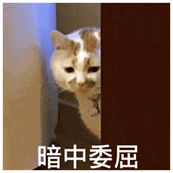 萌寵 貓咪 暗中委屈 呆萌 可愛(ài)