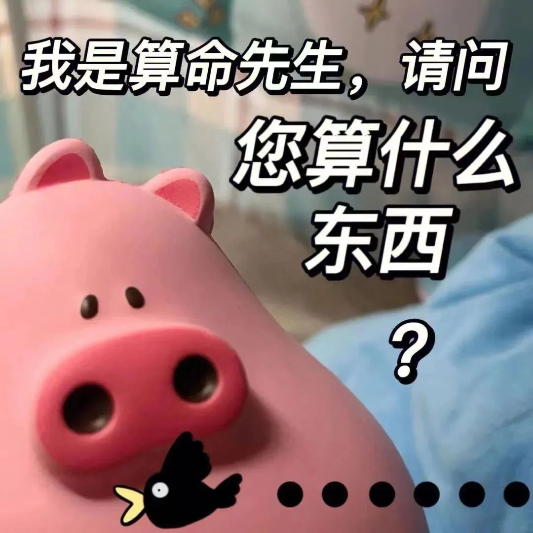 话痨猪猪 可爱 沙雕 搞笑 逗