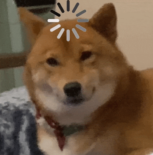 萌宠 狗狗 思考 呆萌 可爱