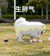 萌宠 狗狗 生胖气 呆萌 可爱