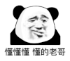 暴漫 熊猫头 懂懂懂 懂的老哥 搞怪 逗