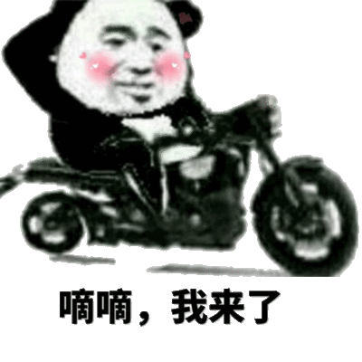 熊猫骑电动车表情包图片
