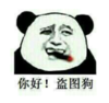 暴漫 熊猫头 你好盗图狗 搞笑 逗 沙雕