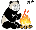 暴漫 熊猫头 冷 搞怪 逗