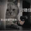 萌宠 猫咪 黑社会 呆萌 可爱