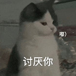 萌寵 貓咪 討厭你 呆萌 可愛