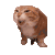 猫咪 猫meme 可爱 搞怪