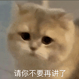 萌寵 貓咪 請你不要再講了 呆萌 可愛