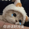 萌宠 猫咪 你讲话好冷漠 呆萌 可爱
