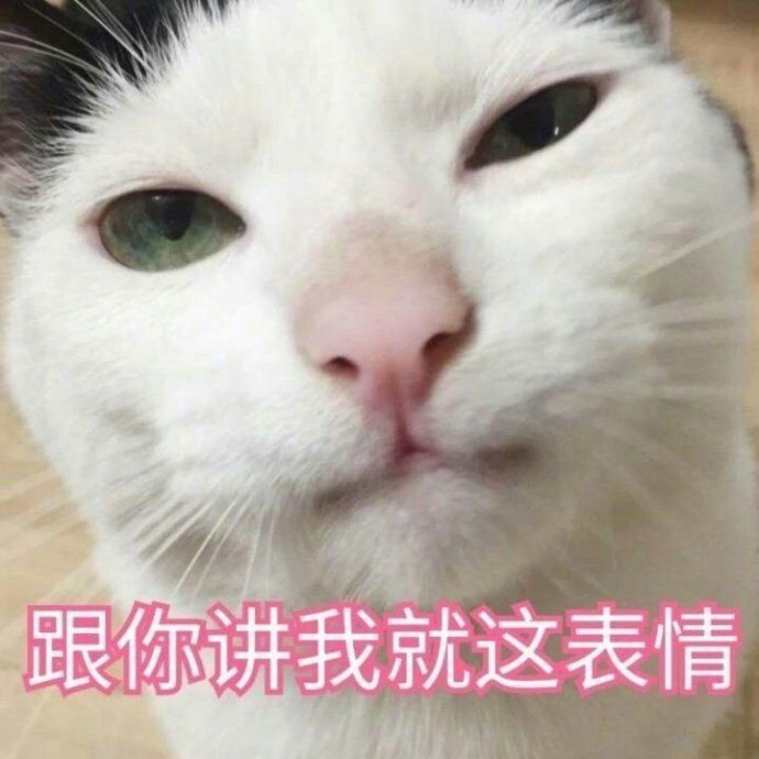 猫咪表情包嫌弃图片