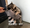 萌宠 猫星人 我不管 我要爱他一辈子 开心 搞怪 逗