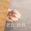 萌宠 猫咪 老公给钱 呆萌 可爱