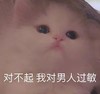 萌宠 猫星人 对不起 我对男人过敏 搞怪 呆萌