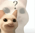 萌宠 猫咪 ？ 呆萌 可爱