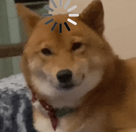 萌宠 狗狗 思考 呆萌 可爱