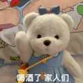 可爱 搞怪 小熊 玩偶 逗
