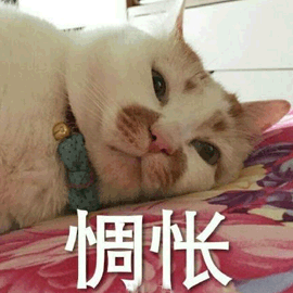 惆怅