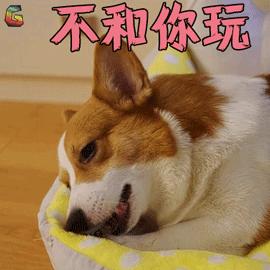不和你玩搞笑滑稽严肃gif动图_动态图_表情包下载_soogif