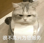 萌寵 貓咪 很不高興為您服務(wù) 呆萌 可愛