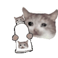 萌宠 猫咪 捏你 呆萌 可爱