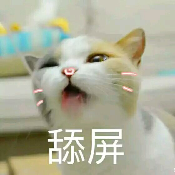 猫咪舔表情包图片