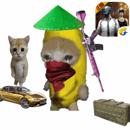 香蕉猫 meme 可爱 搞怪