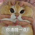 萌宠 猫咪 你清醒一点 呆萌 可爱