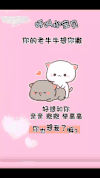 布布 可爱 情侣 沙雕