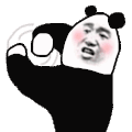暴漫 熊猫头 转圈 搞怪 逗