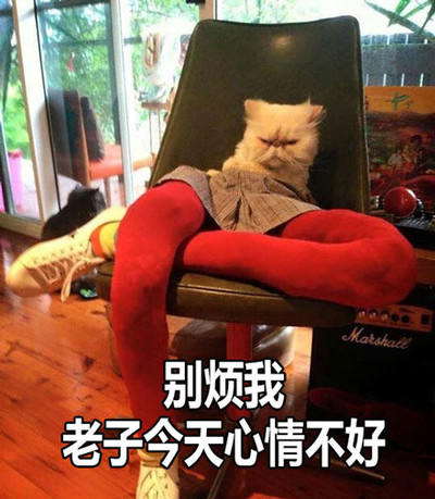 别烦我了行不行图片_别烦我了行不行动态图_别烦我了行不行表情包gif