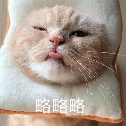 猫咪吐舌头摆烂表情包图片