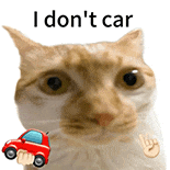 萌宠 猫咪 idontcar 呆萌 可爱
