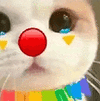 萌宠 猫咪 哭 呆萌 可爱