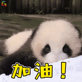 熊猫头加油鼓励表情包图片
