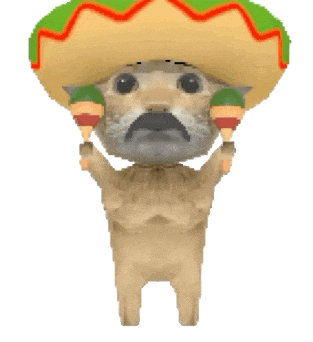 阿米嘎蒂朵 猫咪 喵喵 可爱 搞怪