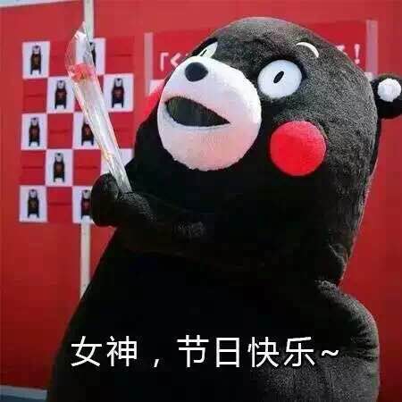 脸红熊猫玫瑰花节日快乐gif动图