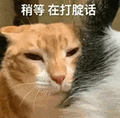 萌宠 猫咪 稍等在打腚话 呆萌 可爱