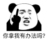 暴漫 熊猫头 你拿我有办法吗 搞怪 逗