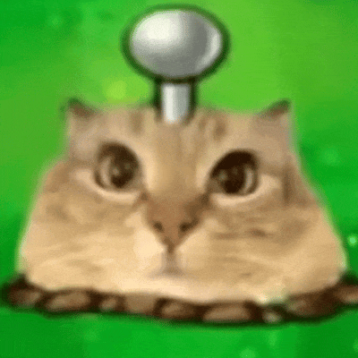 搞笑 猫咪 沙雕 可爱