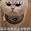 萌宠 猫咪 大摇大摆这样 你又在吃什么好吃的 呆萌 可爱